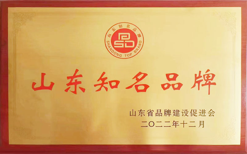 山东知名品牌